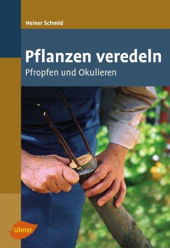 Pflanzen veredeln: Pfropfen und Okulieren