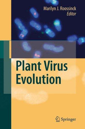 Plant Virus Evolution