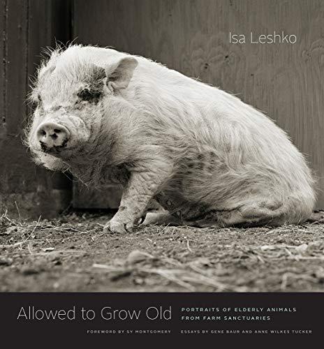 Allowed to Grow Old: Portraits of Elderly Animals from Farm Sanctuaries