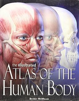 The Illustrated Atlas of the Human Body