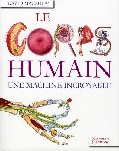 Le corps humain, une machine incroyable