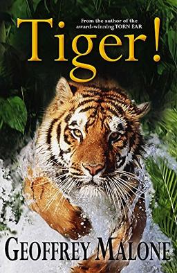 Tiger (Stories from the Wild, Band 8)