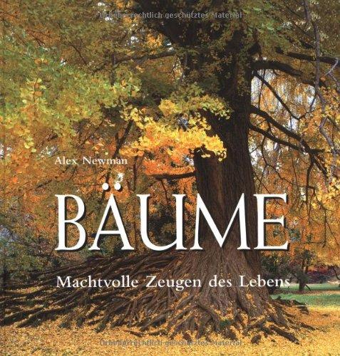 Bäume: Machtvolle Zeugen des Lebens