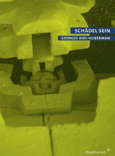 Schädel sein