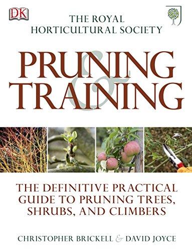 RHS Pruning and Training