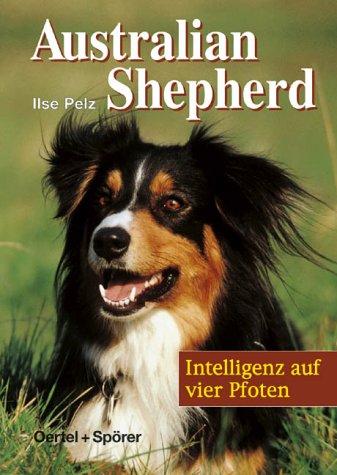 Australian Shepherd