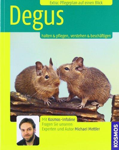 Degus: Halten & Pflegen, Verstehen & Beschäftigen