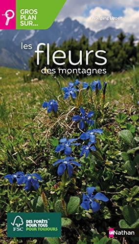 Gros plan sur... les fleurs des montagnes