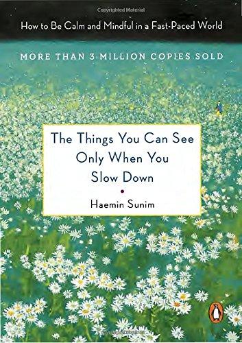 The Things You Can See Only When You Slow Down: How to Be Calm and Mindful in a Fast-Paced World