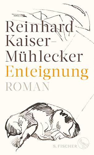 Enteignung: Roman