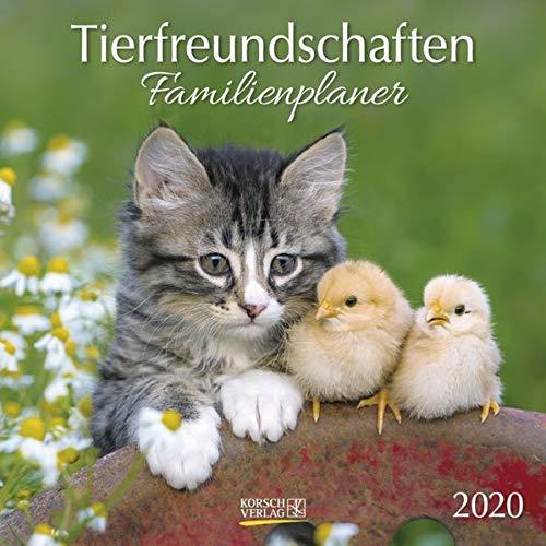 Tierfreundschaften - Familientimer 2020: Broschürenkalender mit Ferienterminen