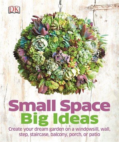 Small Space Big Ideas (Dk)