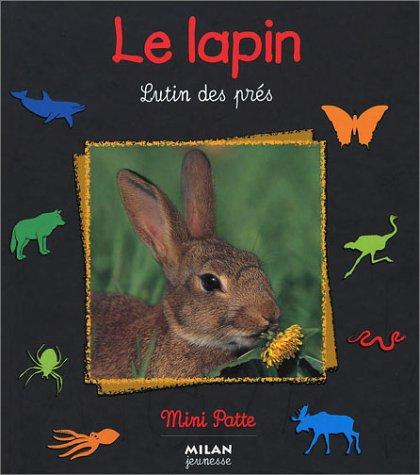 Le lapin : lutin des prés