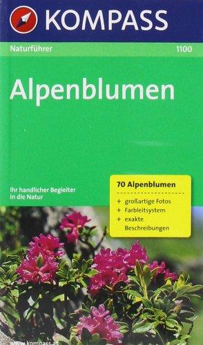 Naturführer Alpenblumen: Sehen und verstehen