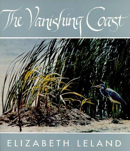 The Vanishing Coast