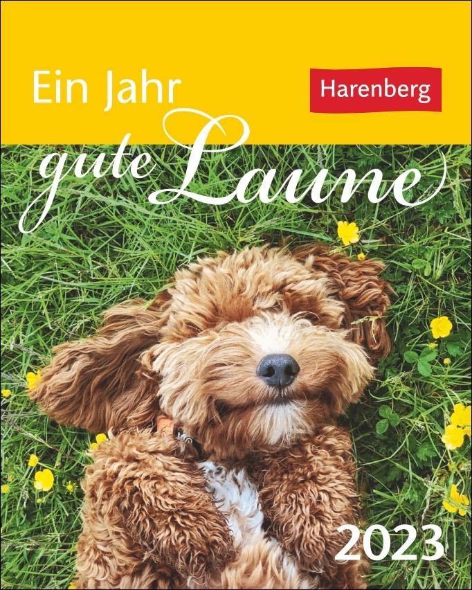 Ein Jahr gute Laune Mini-Geschenkkalender 2023. Kleiner Kalender für jeden Tag Schmunzeln, mit 365 Zitaten zum Lachen. Aufstellkalender 2023 für die tägliche Portion Spaß.: 365 Zitate