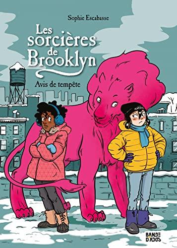 Les sorcières de Brooklyn. Vol. 2. Avis de tempête