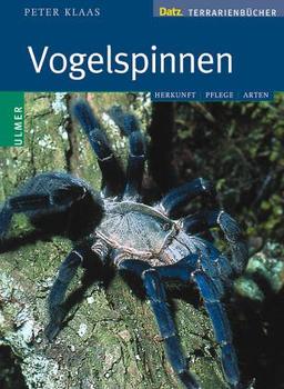 Vogelspinnen im Terrarium. Lebensweise, Haltung und Zucht