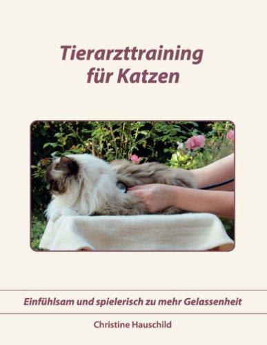 Tierarzttraining für Katzen: Einfühlsam und spielerisch zu mehr Gelassenheit