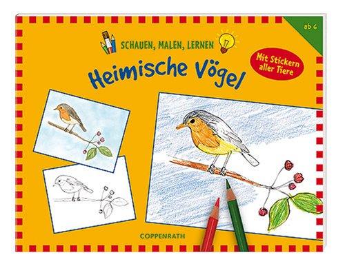 Schauen, Malen, Lernen: Heimische Vögel