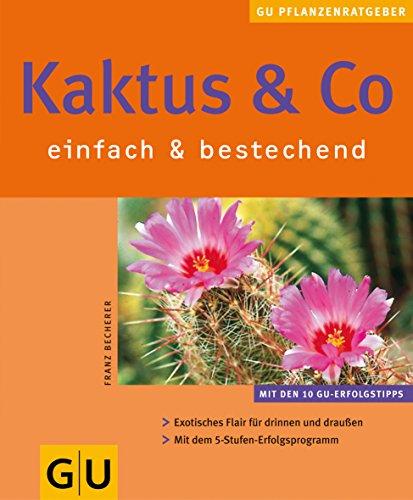 Kaktus & Co. : einfach & bestechend