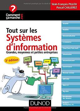 Tout sur les systèmes d'information : grandes, moyennes et petites entreprises