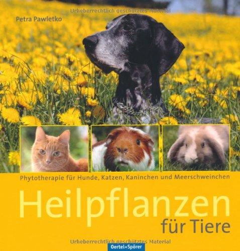 Heilpflanzen für Tiere: Phytotherapie für Hunde, Katzen, Kaninchen und Meerschweinchen