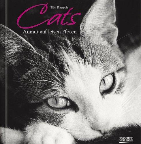 Katzen Cats - Anmut auf leisen Pfoten