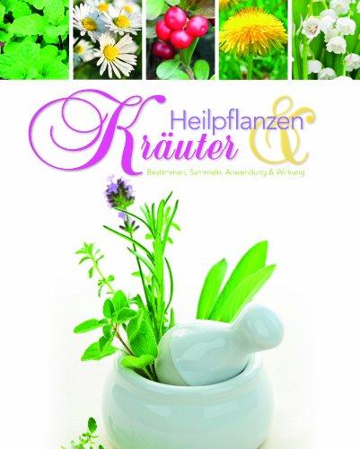 Heilpflanzen & Kräuter