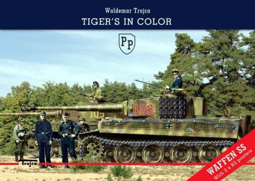 Tigers in Color