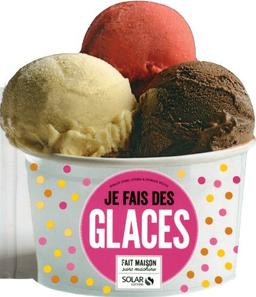 Je fais des glaces : fait maison, sans machine