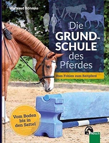 Die Grundschule des Pferdes: Vom Boden in den Sattel - Vom Fohlen zum Reitpferd