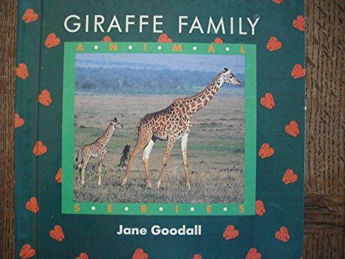 Giraffe Family. Animal Series.