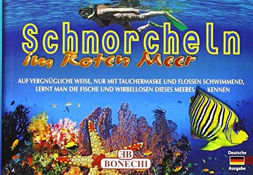 Schnorcheln im Roten Meer: Auf vergnügliche Weise, nur mit Tauchermaske und Flossen schwimmend, lernt man die Fische und Wirbellosen dieses Meeres kennen