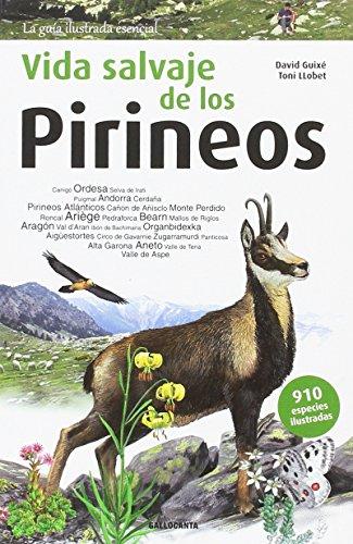 Vida salvaje de los Pirineos (La guia essencial, Band 2)