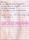 Grössenwahn. 25 Jahre Szene Frankfurt in Geschichten, Bildern und Rezepten