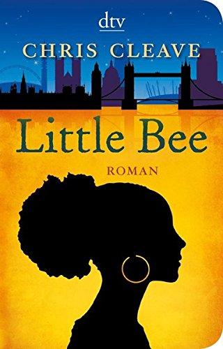 Little Bee: Roman