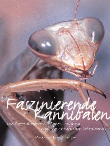 Faszinierende Kannibalen: Die Gottesanbeterin Mantis religiosa und ihr natürlicher Lebensraum