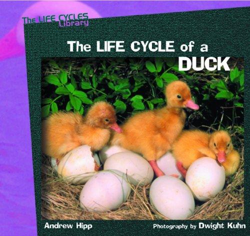 The Life Cycle of a Duck (Life Cycles Library)