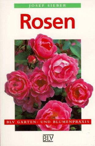 Rosen. Auswahl, Pflege, Nachbarschaft.