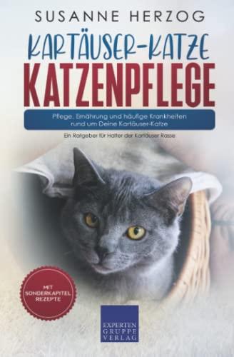 Kartäuser-Katze Katzenpflege – Pflege, Ernährung und häufige Krankheiten rund um Deine Kartäuser-Katze: Ein Ratgeber für Halter der Kartäuser Rasse