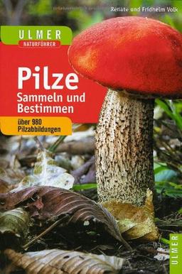 Pilze sammeln und bestimmen