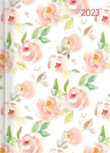 Ladytimer Roses 2023 - Rose - Taschenkalender A6 (10,7x15,2 cm) - Weekly - 192 Seiten - Notiz-Buch - Termin-Planer - Alpha Edition