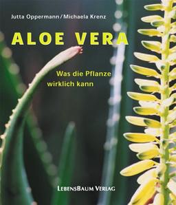 Aloe Vera - Was die Pflanze wirklich kann