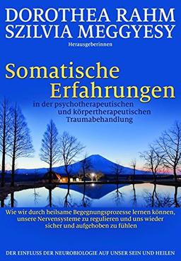 Somatische Erfahrungen in der psychotherapeutischen und körpertherapeutischen Traumabehandlung: Wie wir durch heilsame Begegnungsprozesse lernen ... uns wieder sicher und aufgehoben zu fühlen