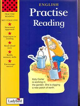 Reading (Practice S.)