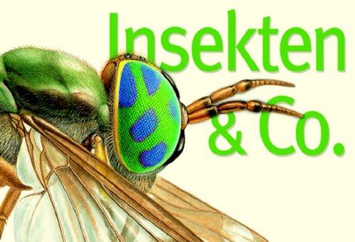 Insekten & Co