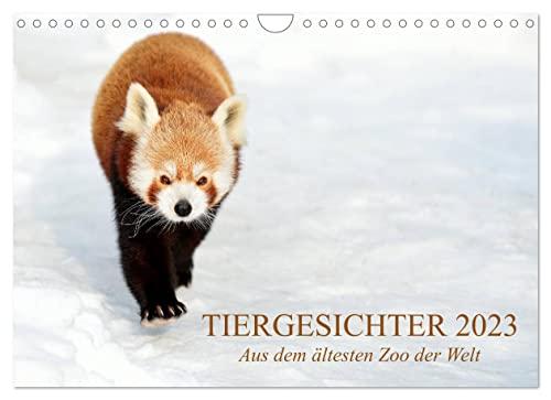 Tiergesichter 2023 (Wandkalender 2023 DIN A4 quer), Calvendo Monatskalender