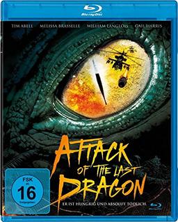 Attack of the Last Dragon [Blu-ray]