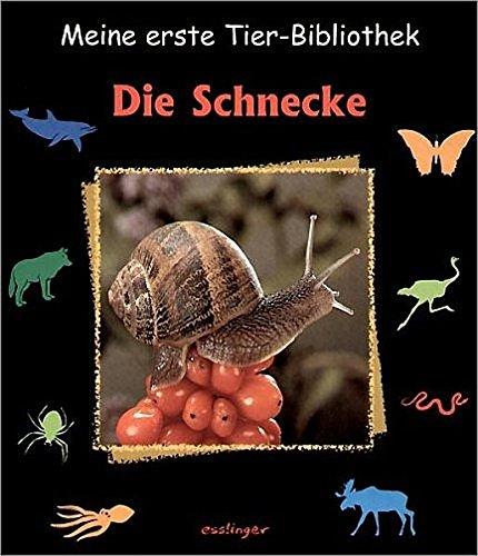 Meine erste Tier-Bibliothek : Die Schnecke